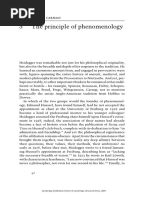 The Principle of Phenomenology