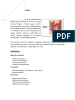 Obstruccion Intestinal