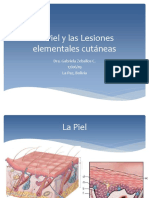 La Piel. Lesiones Elementales