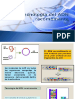 Expo070619 Adn Recombinante
