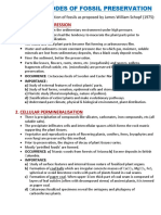 Different Modes of Fossil Preservation