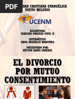 Divorcio Por Mutuo Consentimiento Dario Paredes