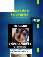 Clase 1 Sensación y Percepción