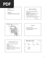 Speech Production: Articulators