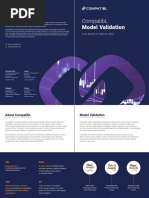 Model Validation 