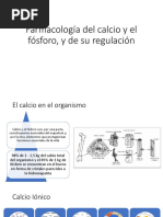 Farmacología Del Calcio y Fósforo