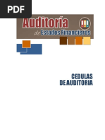 Cedulas de Auditoria