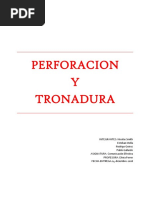 Perforacion y Tronadura Informe 