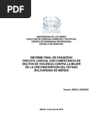 Informe Final de Pasantias Circuito Judicial de Violencia de Genero