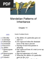 CH 11 Mendelian Patterns of Inheritance