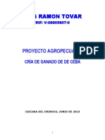 Proyecto Ganado de Ceba Fdo La Piscina - Luis R Tovar