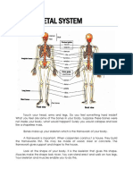 The Skeletal System