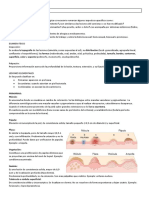 Piel y Anexos Cutáneos. Semiologia