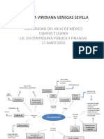 Mapa Mental Voluntariado - Andrea Venegas