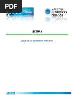 ¿Qué Es La Gerencia Pública?