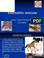 Estomatitis Vesicular