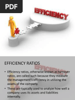 Efficiency Ratios