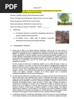 INFORME 3 Dedrologia