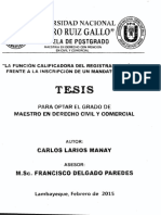 Calificacion Registral - Setencias Judiciales Tesis