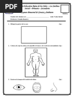 Examen Bimestral de Ciencia y Ambiente