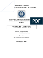 Teoria de La Prueba