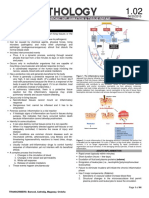 Chronic Inflammation and Repair