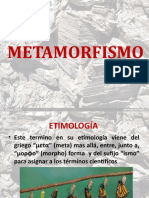 METAMORFISMO