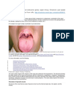 Fernandez D. Snoring and Obstructive Apnea, Upper Airway. Emedicine Last Update April, 27 TH 2015. Available From: URL