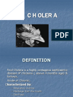 Fowl Cholera