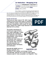 A-Endoplasmic Reticulum - Wrapping It Up: Rough and Smooth