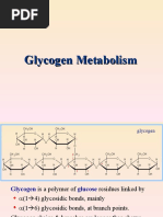 Curs 12 Glycogen