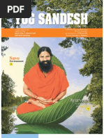 YogSandesh November Eng2010