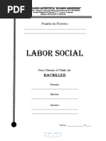 Carpeta de Labor Social PDF