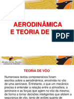 Aerodinamica e Teoria de Voo