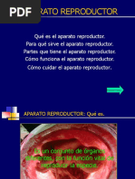 Aparato Reproductor