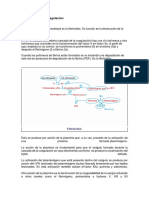 Fibrinólisis y Anticoagulación