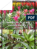 Cultivo de Bromeliaceae