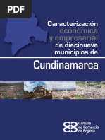 Caracterizacion Economica y Empresarial de 19 Municipios