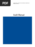 Audit-Manual 1006 PDF