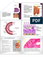 8 - Histologia Digestivo II y III (Modo de Compatibilidad)