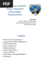 Presentation On Brain Tumor Detection