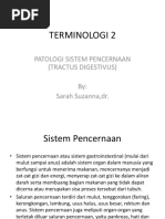 TERMINOLOGI 2 ST - Pencernaan