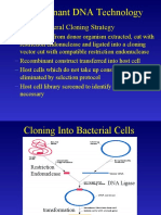 Recombinant DNA Technology: Common General Cloning Strategy