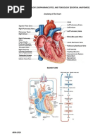 Module 4 - Pharmacology, Biopharmaceutics, and Toxicology (Essential Anatomies)