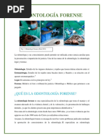 Odontología Forense