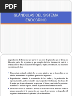 Glándulas Del Sistema Endocrino