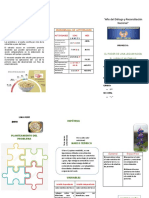 Triptico Feria de Ciencia