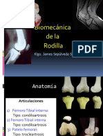 Biomecanica de La Rodilla