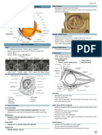 (Ophtha) 1.1 Anatomy of The Eye