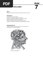 Aula - Estruturalismo PDF